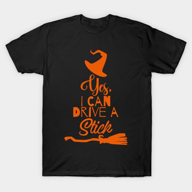 Yes, I can drive a stick T-Shirt by danydesign